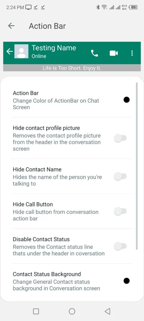 Chat Screen Action Bar