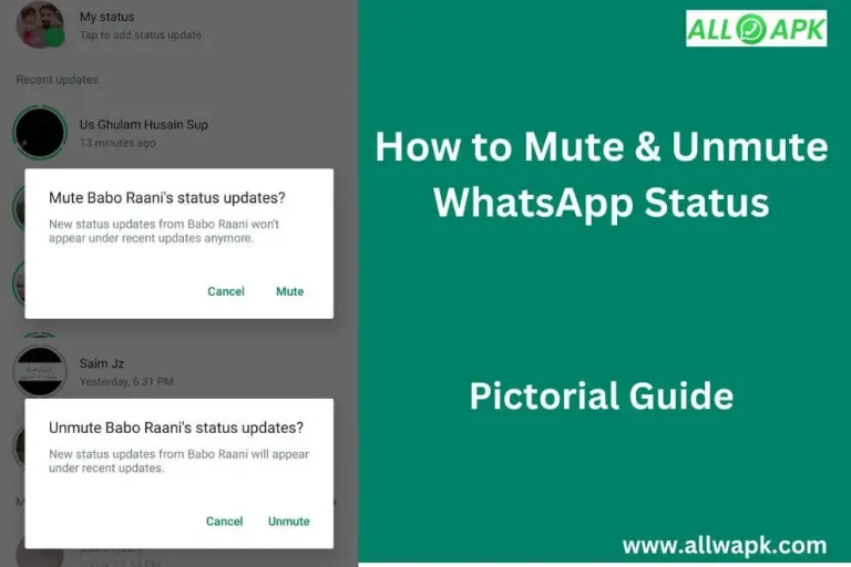 How to Unmute WhatsApp Status